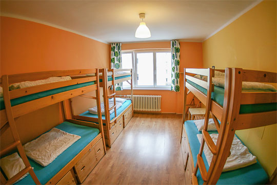 Hostel room with bunk beds